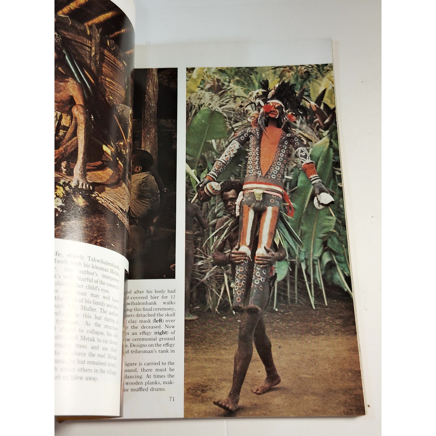 National Geographic Magazine – January 1972, Everglades, Belize, New Zealand
