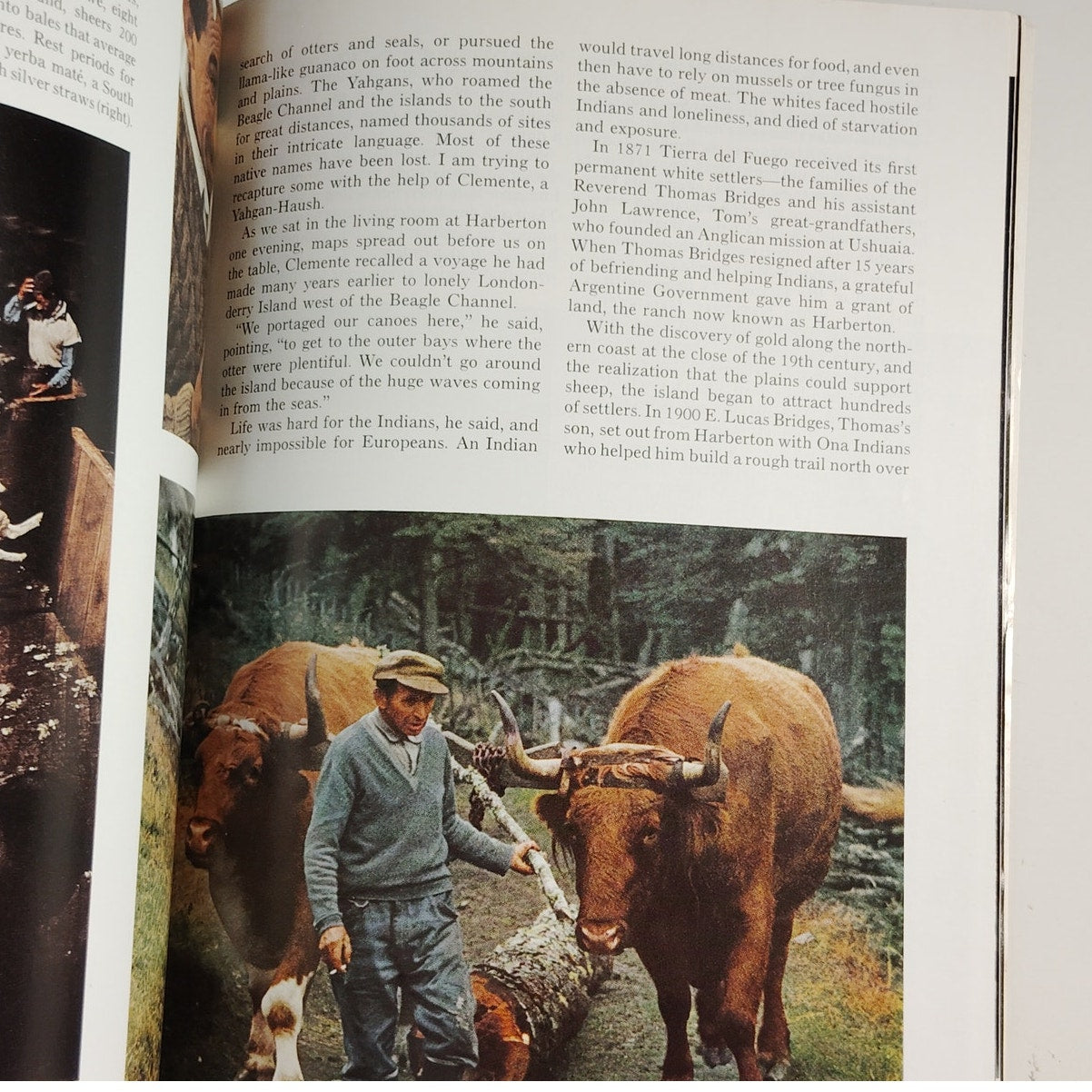 National Geographic Magazine – January 1971, Voyage of Ra II, Wild Horses, Java