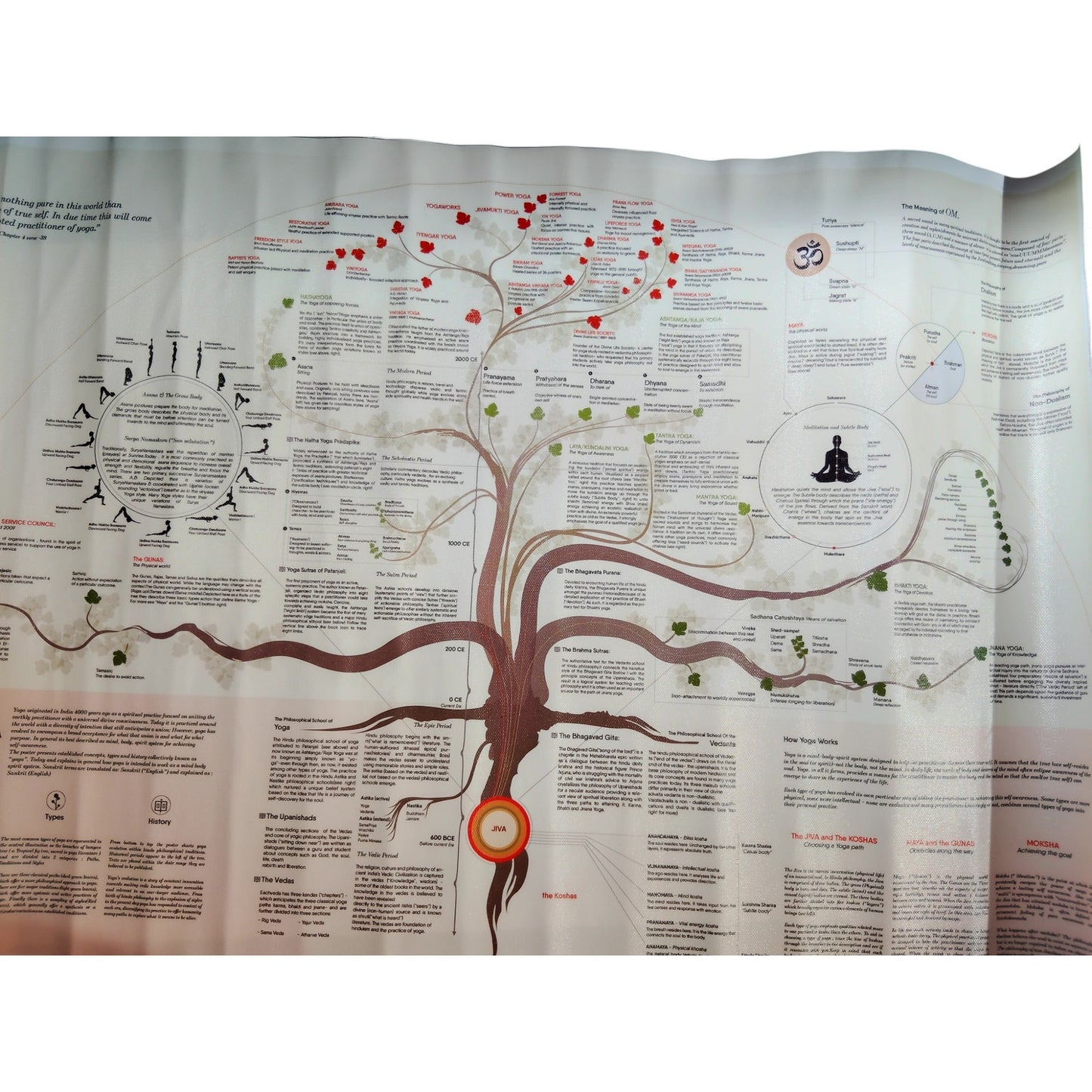 24x16" The Yoga Tree Canvas Print Poster – A Visual Guide to the Practice of Yoga (Unframed)