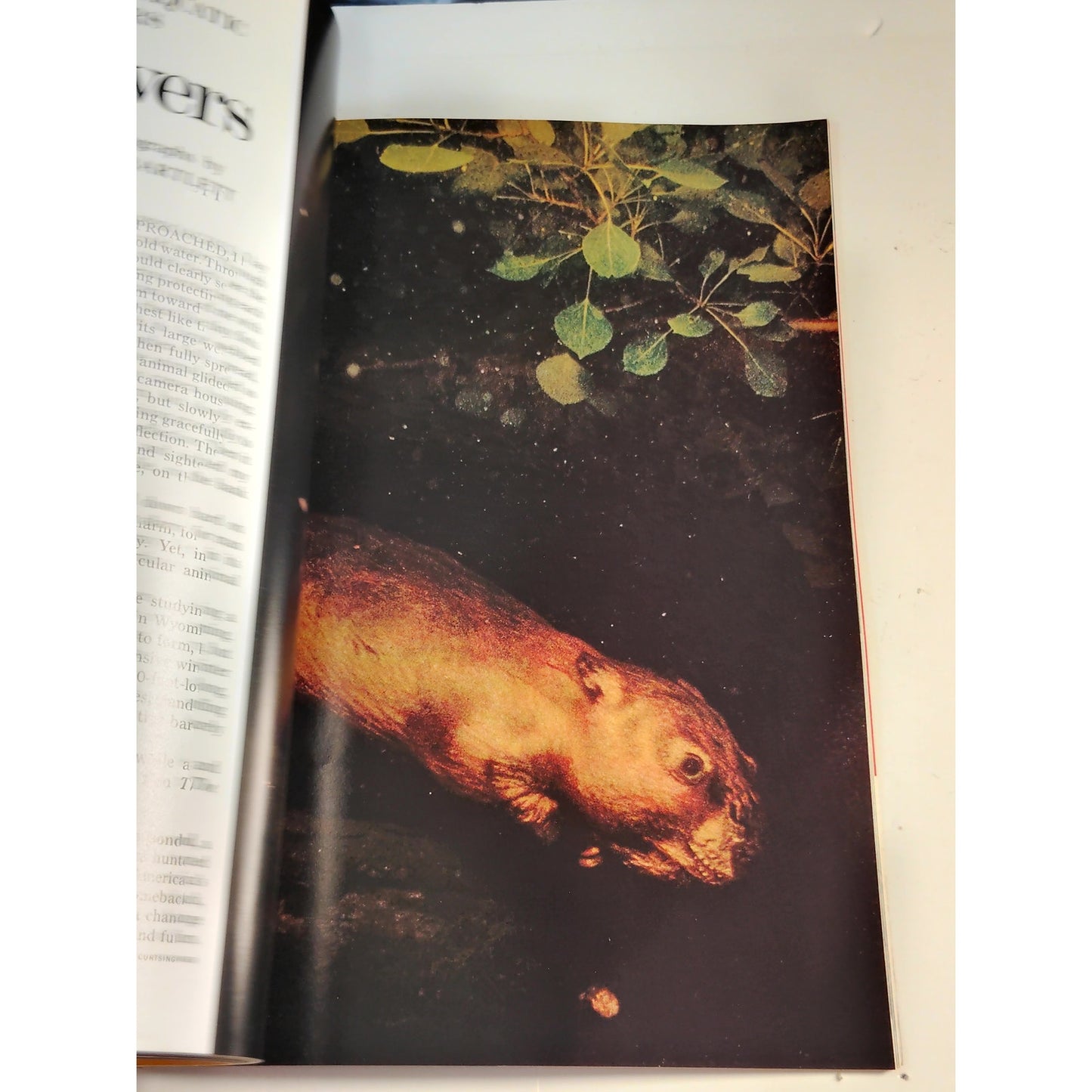 National Geographic Magazine – May 1974, Bluegrass, Beavers, Chinese Tomb