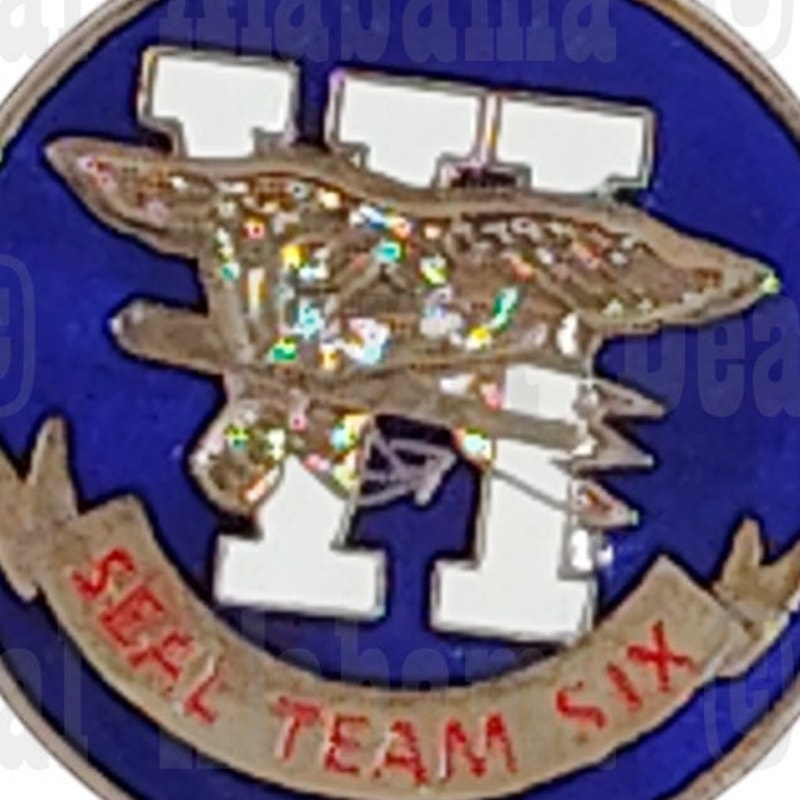 Seal Team Six Hat, Lapel, Vest or Brooch Novelty Collectors Pin 1"D