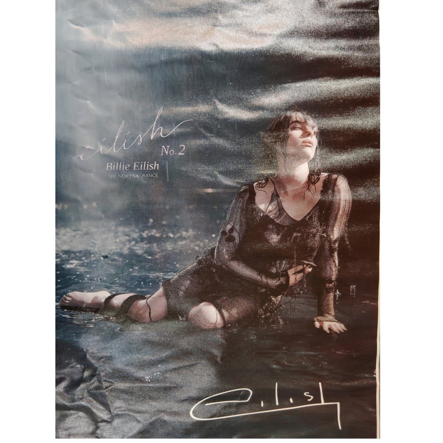 Eilish No.2 Canvas Art Print – Billie Eilish Poster, 16" x 24" Unframed, Music Wall Décor