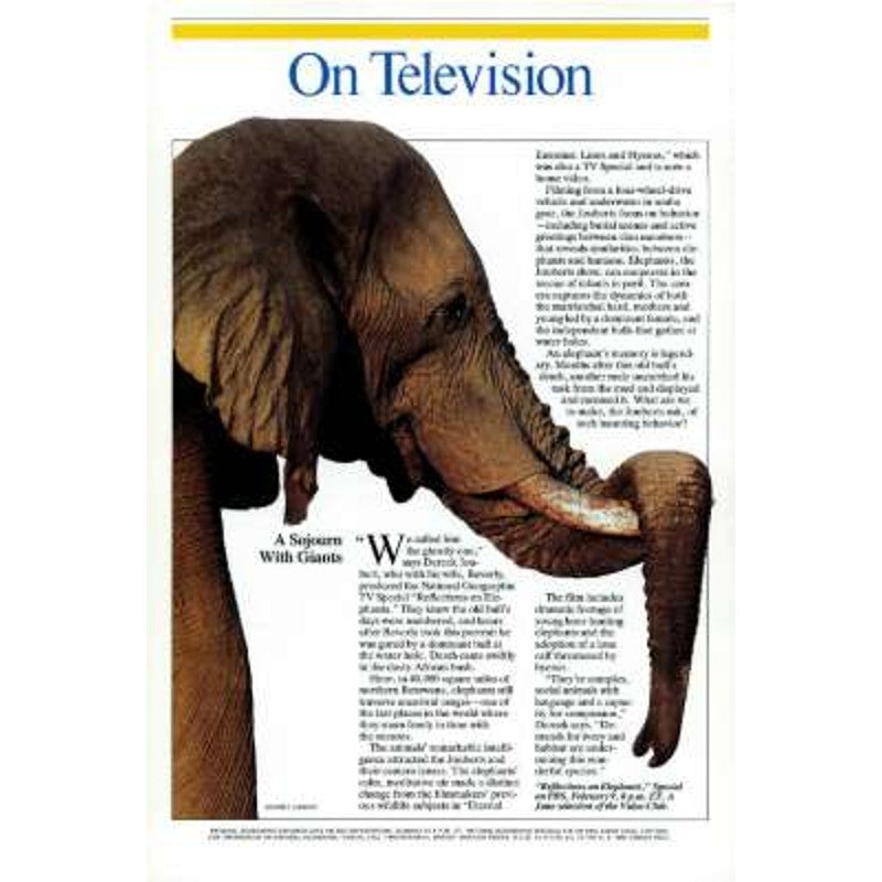 National Geographic Magazine FEB 1994 Canada Rivers, Federal Lands, Connecticut, Sea Turtles: In a Race for Survival, Hunstein Forest