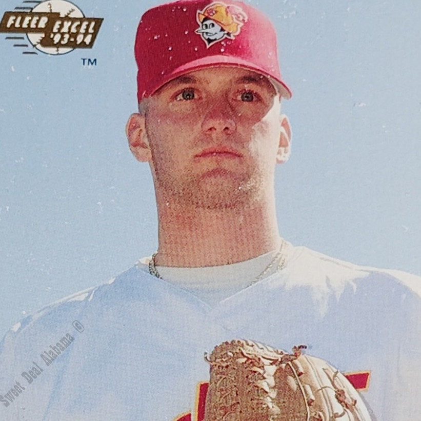 Todd Williams, Albuquerque Dukes, No. 221, 93-94 Fleer Excel Minor Leagues
