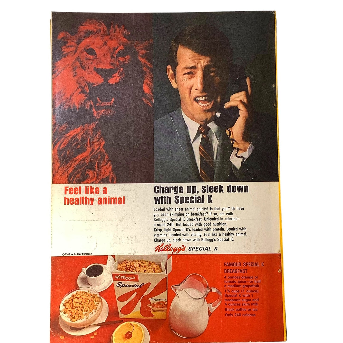 National Geographic Magazine FEB 1967, Vietnam, Alaska, Bahamas, Japan & More