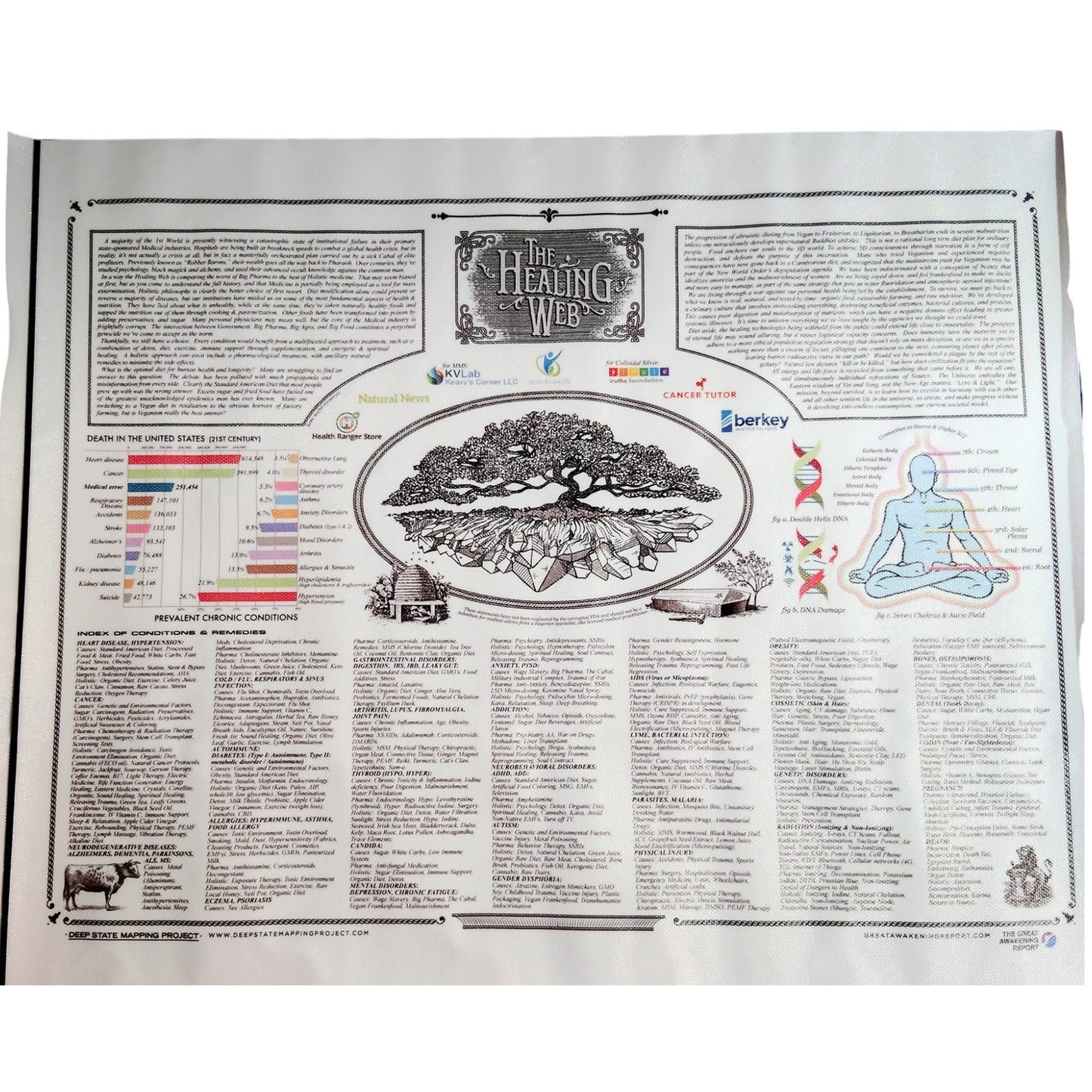 The Healing Web Chart Poster – Natural Remedies Canvas Print, 16x12" Unframed Holistic Wall Art
