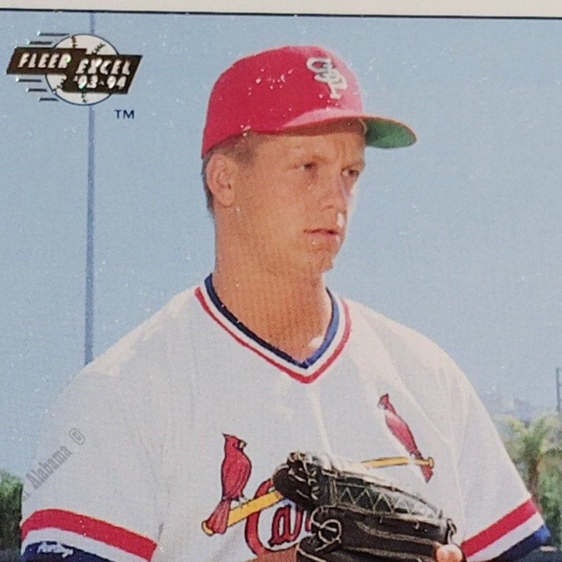 Mike Badorek, St Petersburg Cardinals, No. 255, 93-94 Fleer Excel Minor Leagues