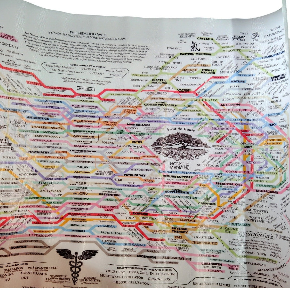 The Healing Web Canvas Wall Art – Natural Remedies Chart Poster, Horizontal Print, 24x16" Unframed