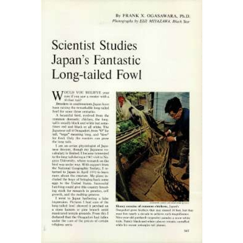 National Geographic Magazine DEC 1970, Old Salem, Ethiopia, Japan, Pentecost ...