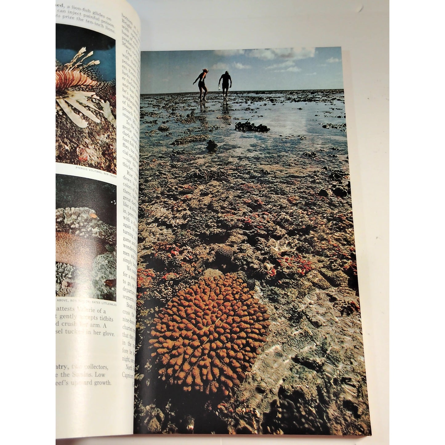 National Geographic – June 1973, Great Barrier Reef, Canadian Rockies, Early Man