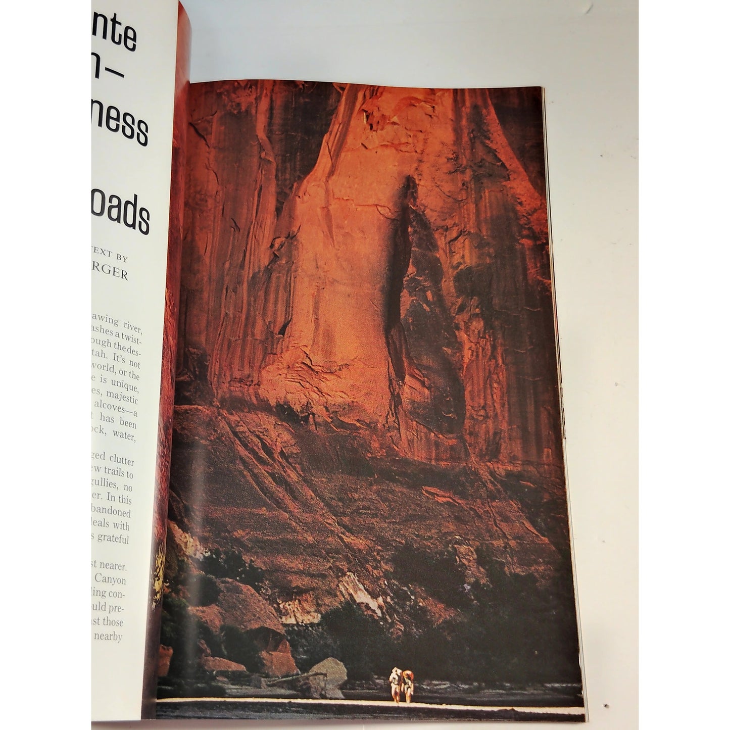 National Geographic Magazine – August 1972, Amazon, Ancient Art, Wildlife