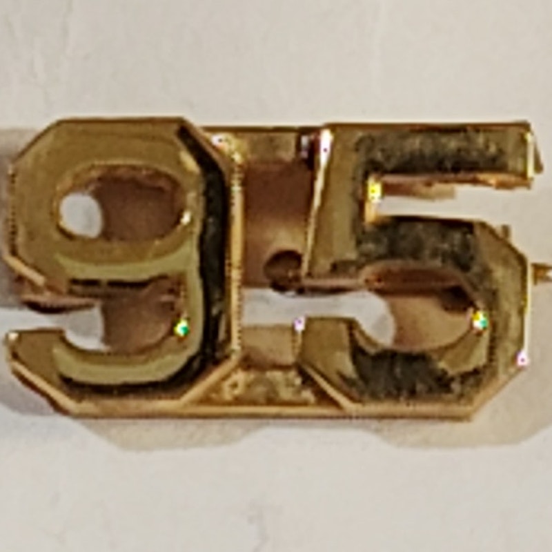 Early/Mid 1900s Brass C-Clasp "95" Collar Device 3/8"H Hat / Lapel Pin