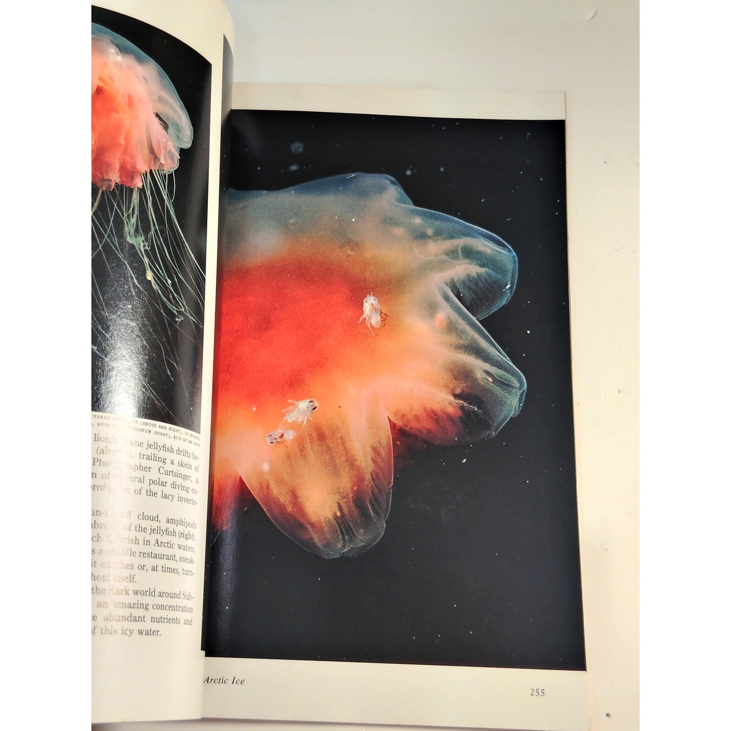 National Geographic Magazine – August 1973, Great Lakes, Arctic Ice, Algeria