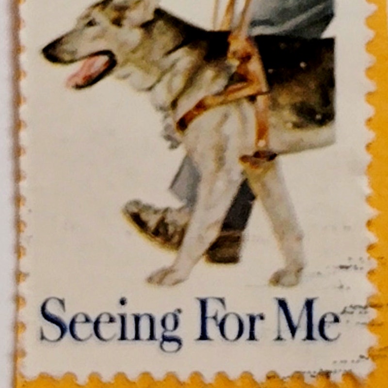 1979 USA 15¢ “Seeing For Me” Scott 1787 – Guide Dog Issue - Canceled