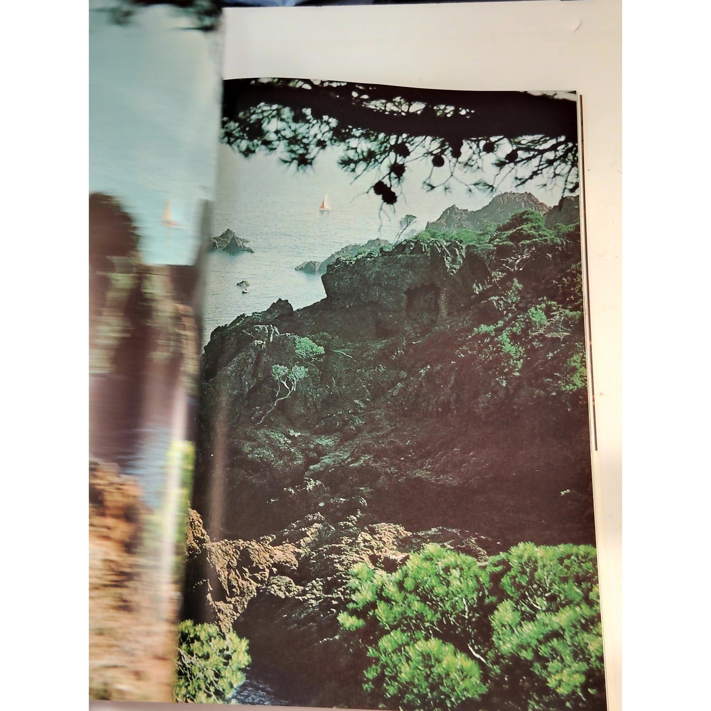 National Geographic June 1967 | Antarctica, French Riviera & Green Turtles
