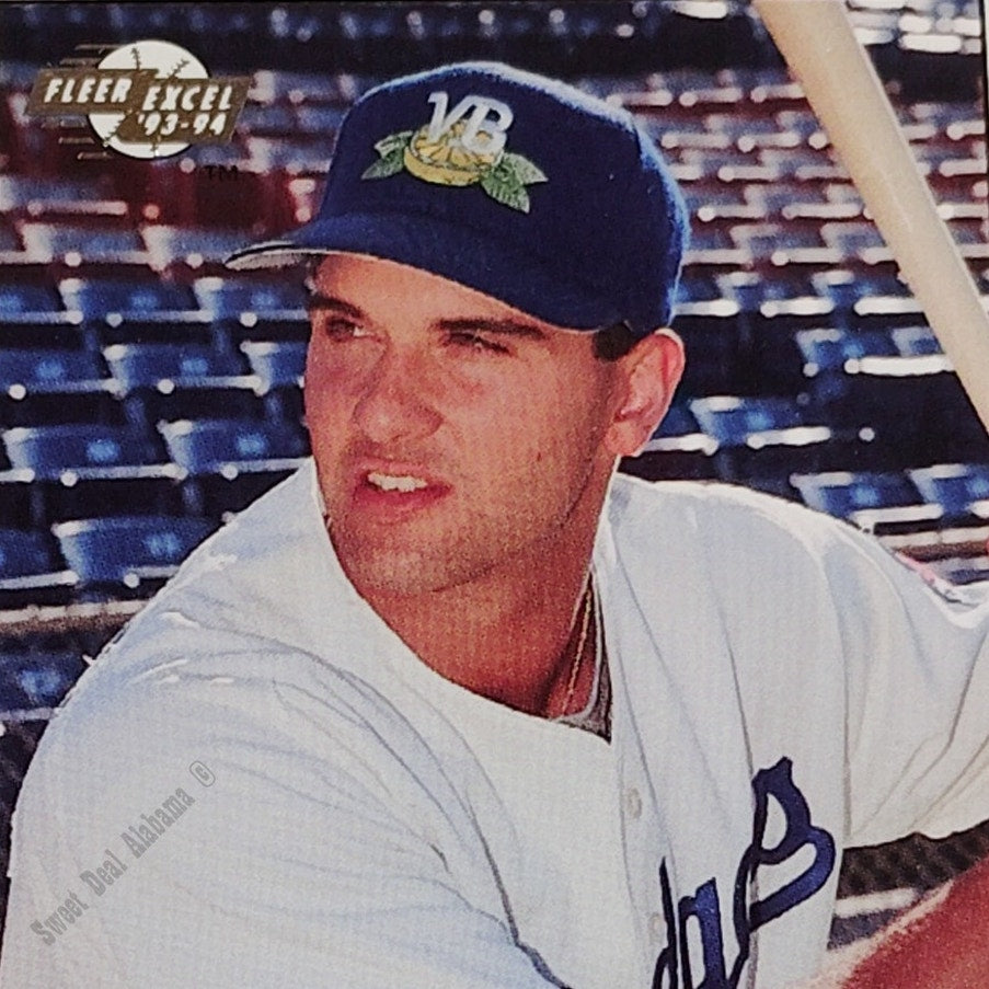 Chris Demetral, Vero Beach Dodgers, No. 212, 93-94 Fleer Excel Minor Leagues