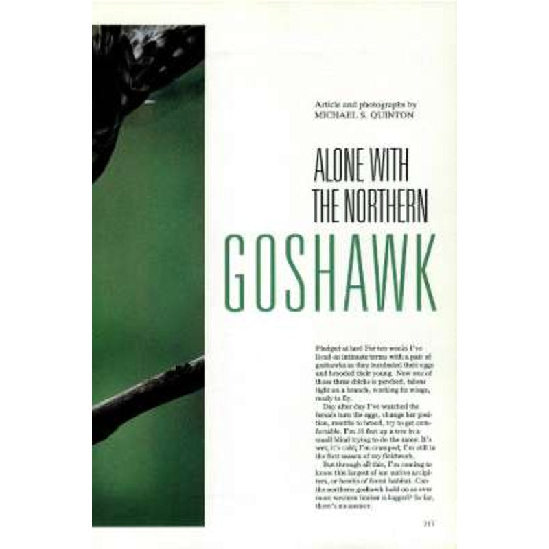 National Geographic July 1994 -Boston Breaking New Ground, Northern Goshawks, Recycling, The Tale of San Diego, Viruses- On the Edge...