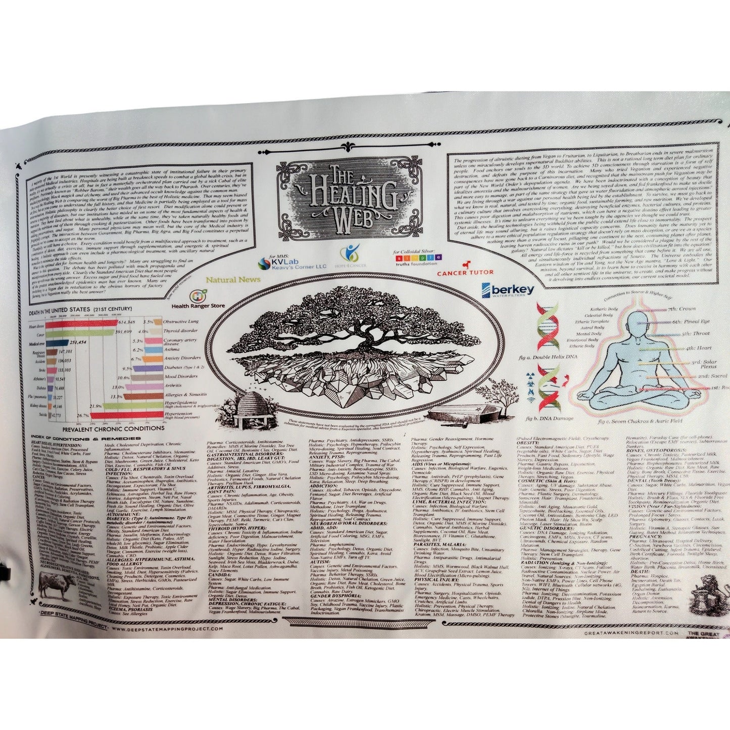 The Healing Web Chart Poster – Natural Remedies Canvas Print, 16x24" Unframed, Holistic Wall Art