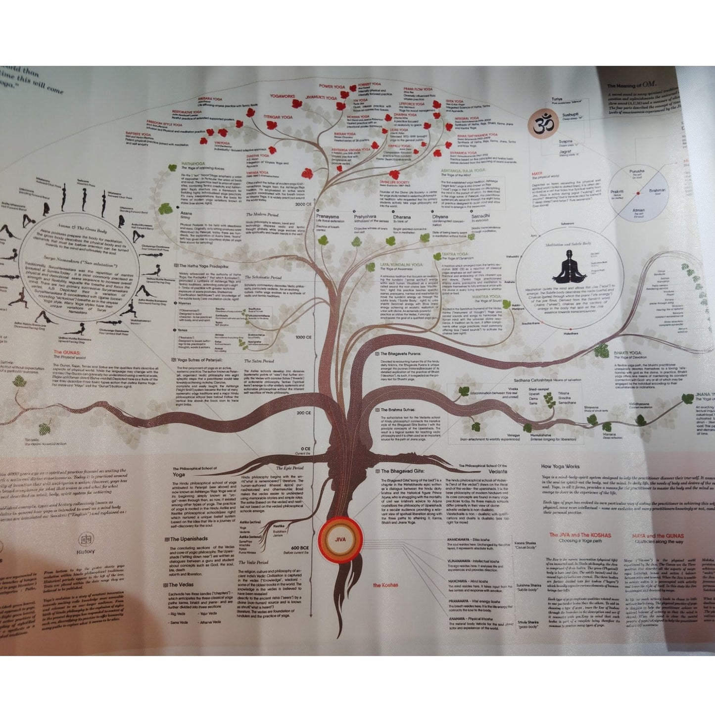 24x16" The Yoga Tree Canvas Print Poster – A Visual Guide to the Practice of Yoga (Unframed)
