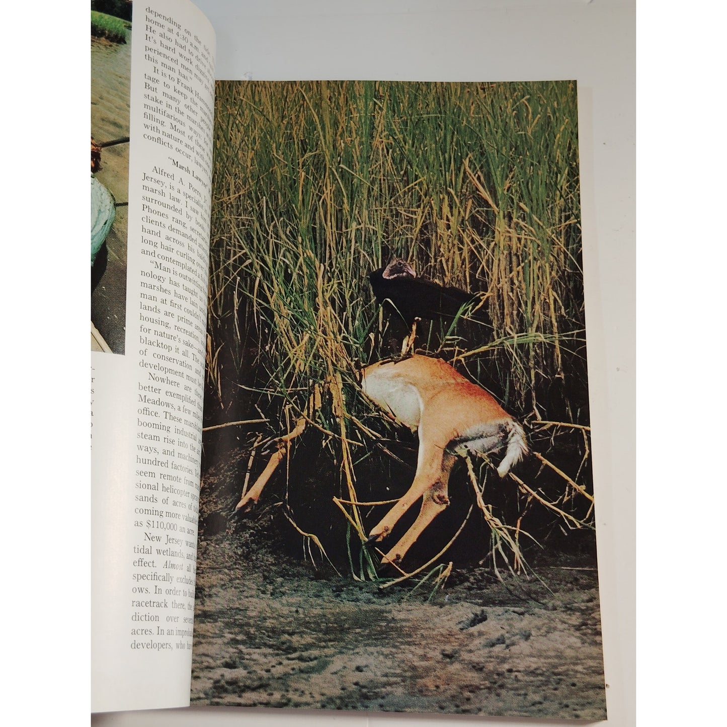 National Geographic Magazine – June 1972, Aphrodisias, Gypsies, Salt Marshes