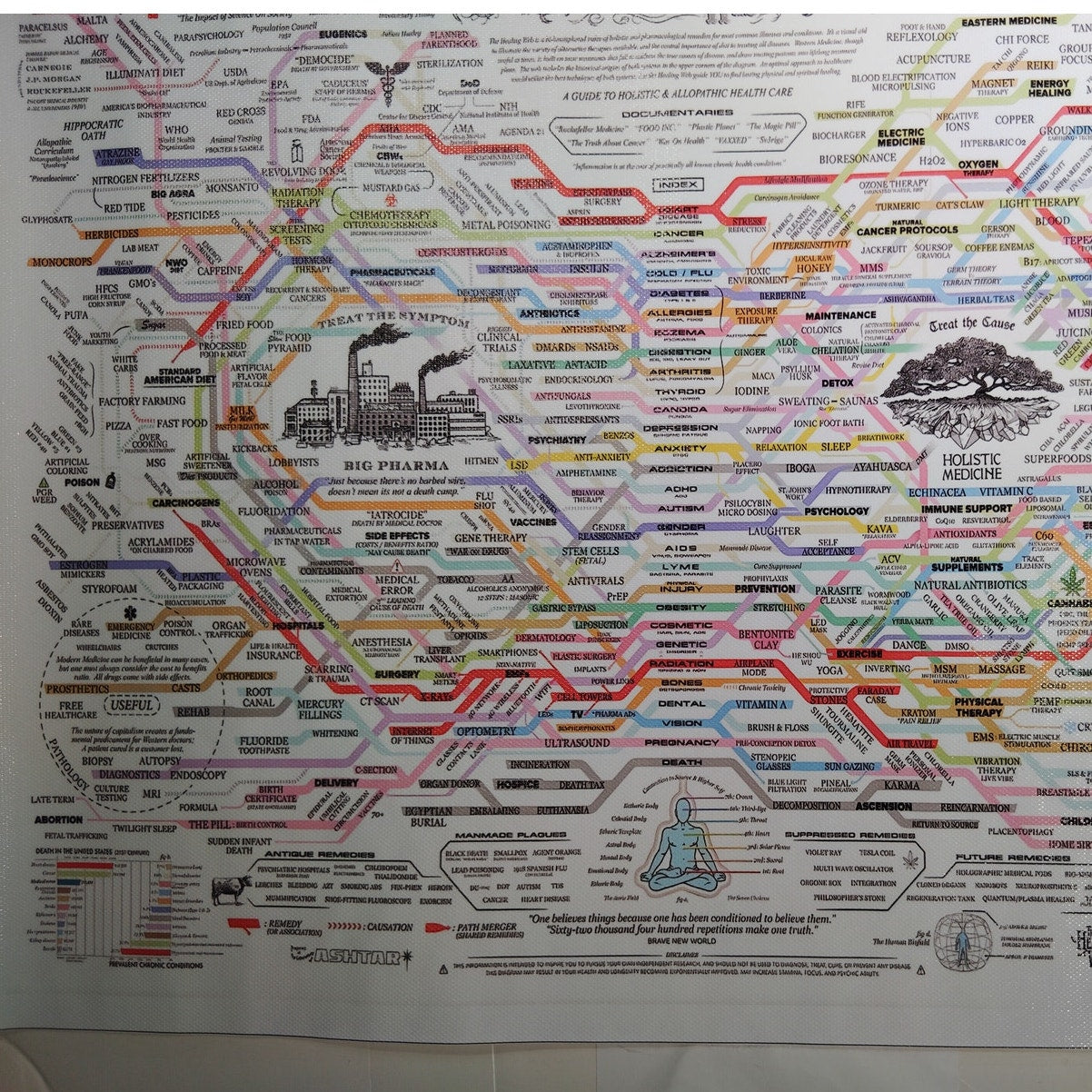 Holistic Medicine vs Big Pharma Flowchart Canvas Print – Educational Health Chart (Unframed, 18x12")