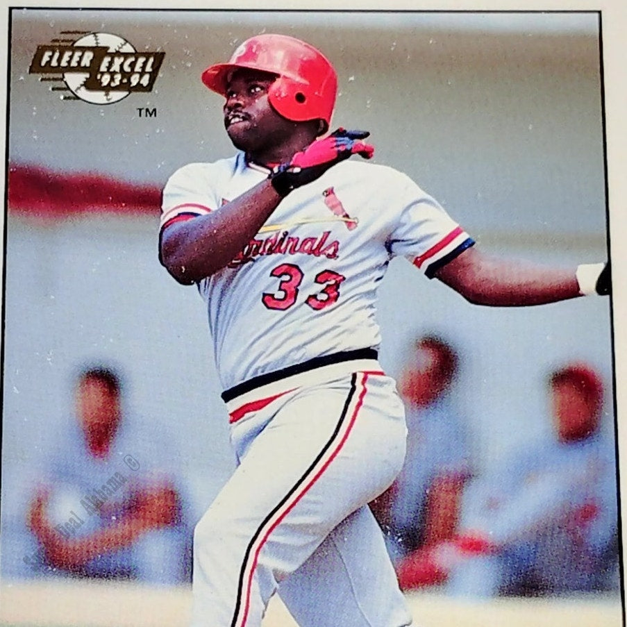 Dmitri Young, St. Petersburg Cardinals, #276, 93-94 Fleer Excel Minor Leagues