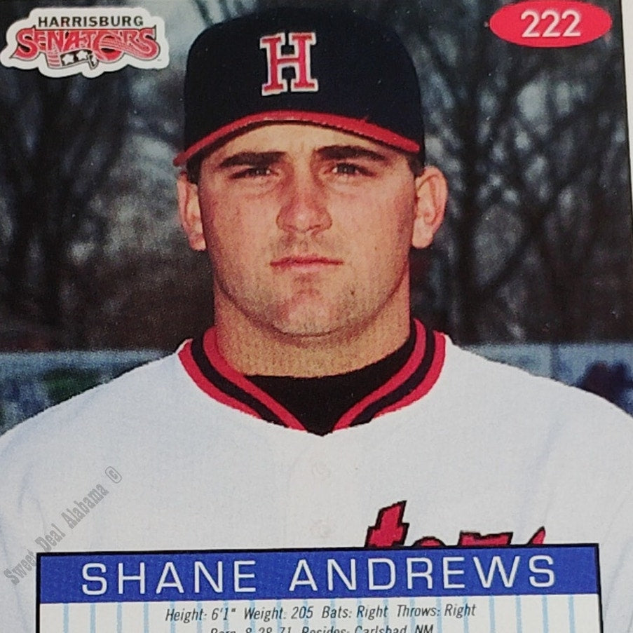 Shane Andrews, Harrisburg Senators, No. 222, 93-94 Fleer Excel Minor Leagues