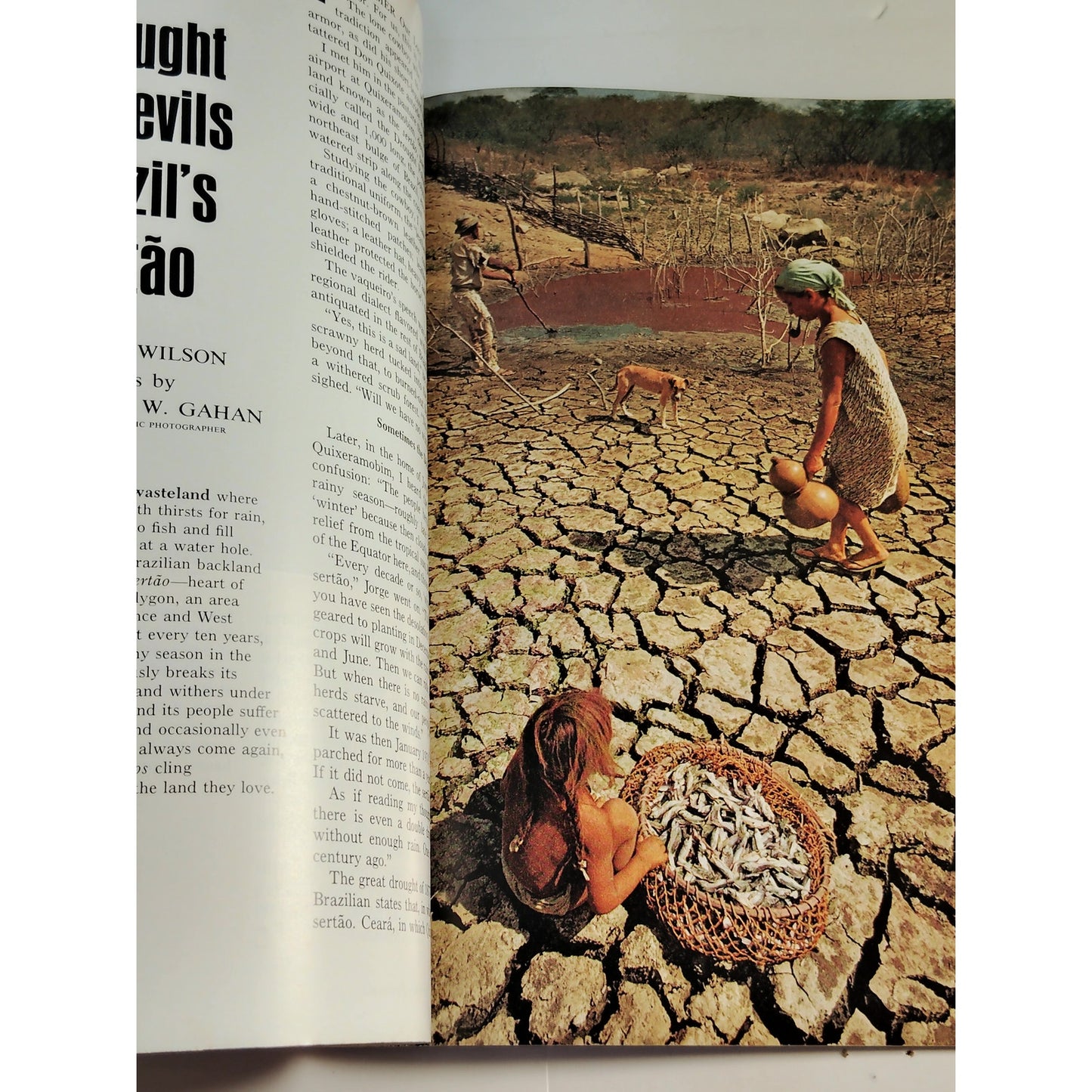 National Geographic – November 1972, Venice, Galápagos, Monterey Peninsula