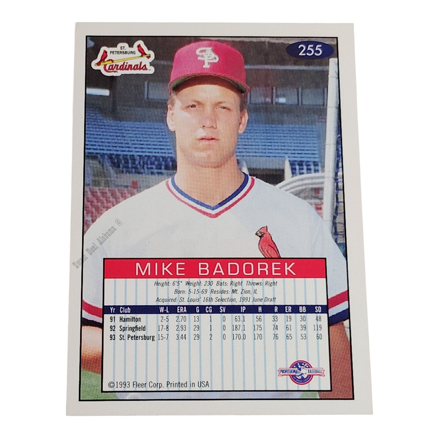 Mike Badorek, St Petersburg Cardinals, No. 255, 93-94 Fleer Excel Minor Leagues