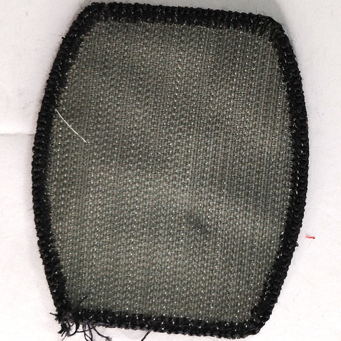 US Army 10th Mountain Division SSI Subdued ACU Patch 2‑5/8" × 2‑1/4" Hook Back