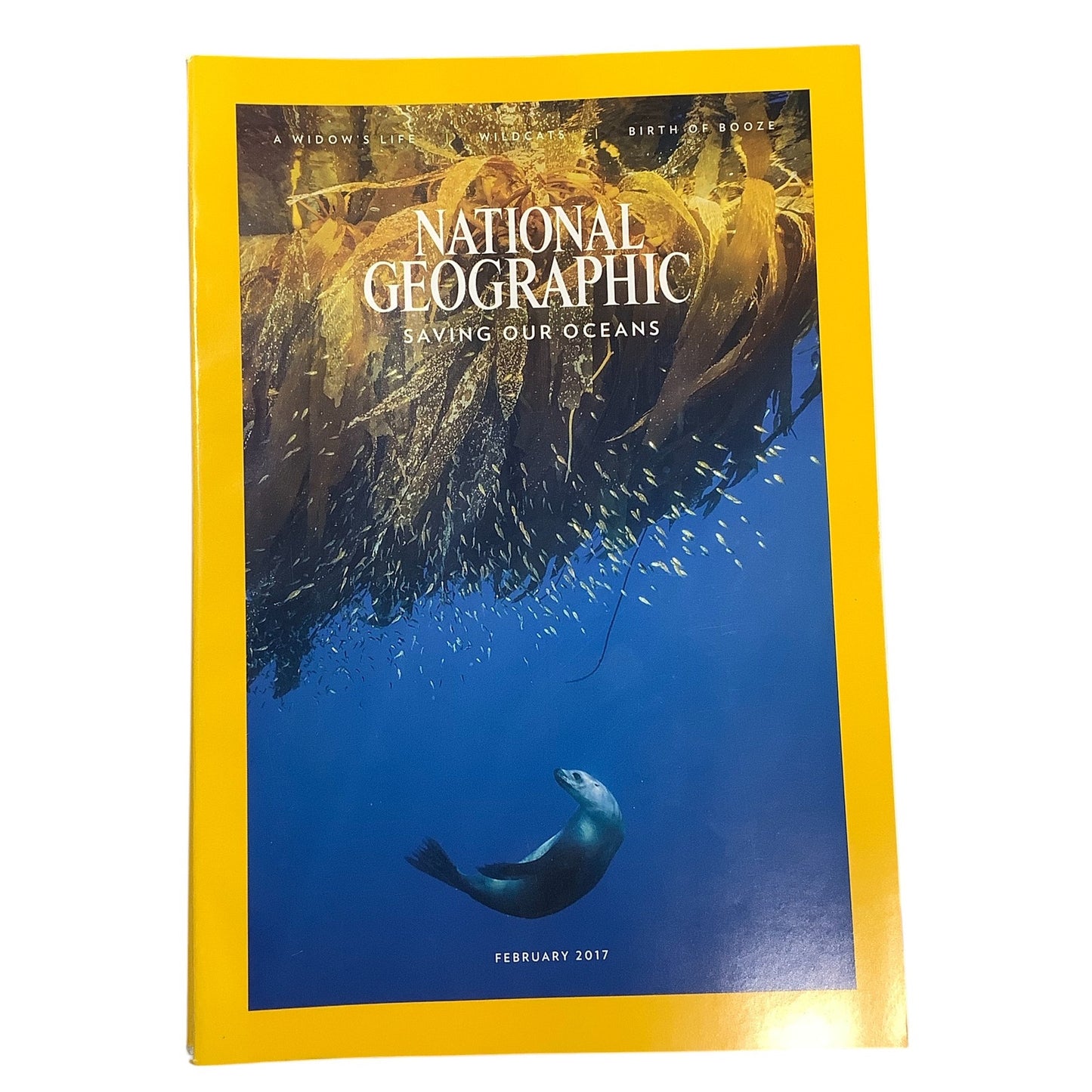 National Geographic Magazine February 2017, Saving our Oceans, Life After Loss..