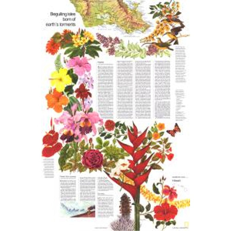 National Geographic Magazine April 1976, Irish, Robert Frost, Hawaii, Brazil ...