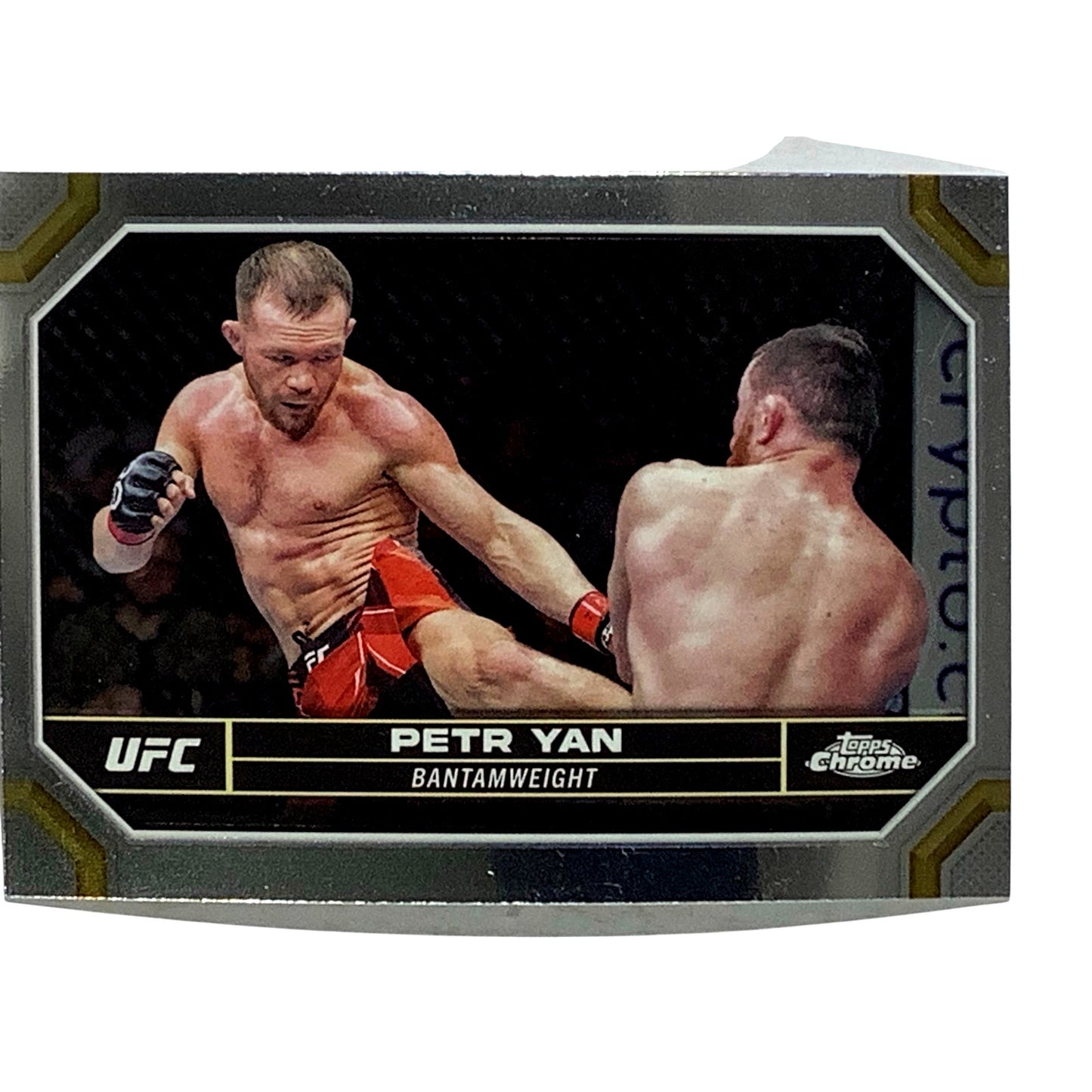 Peter Yan, UFC Bantamweight, Card 156, 2024 Topps Chrome UFC, NM+