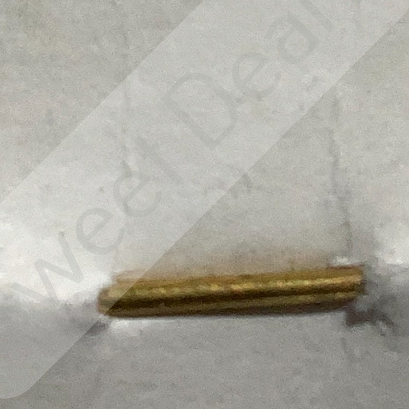 Early/Mid 1900s Brass C-Clasp "69" Collar Device 3/8"H Hat / Lapel Pin