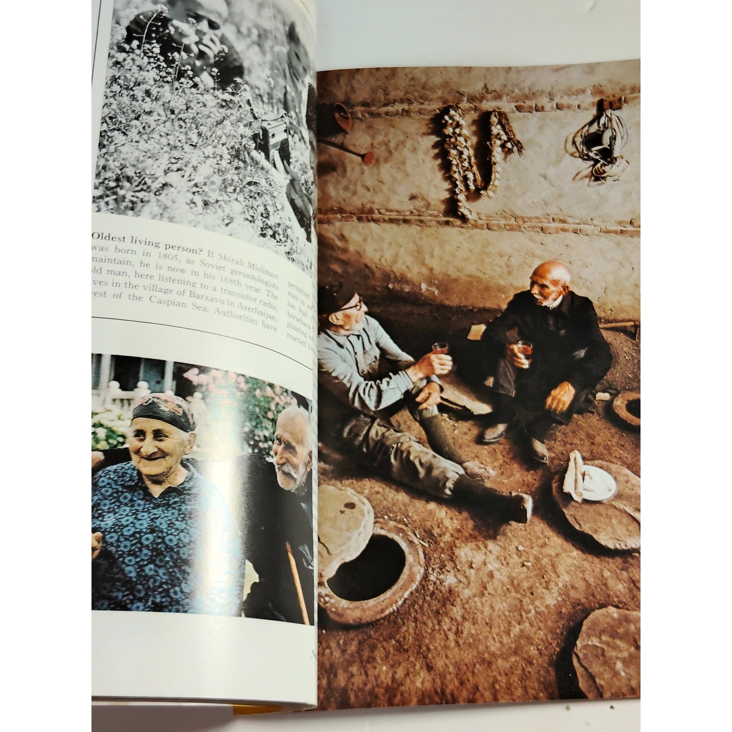 National Geographic January 1973, Wildlife Tracking, San Andreas Fault, Ethiopia