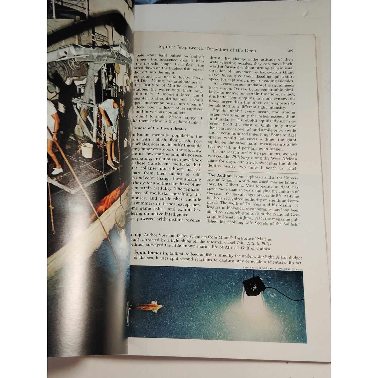 National Geographic Magazine – March 1967 | Siberia, Squids & Guadalajara
