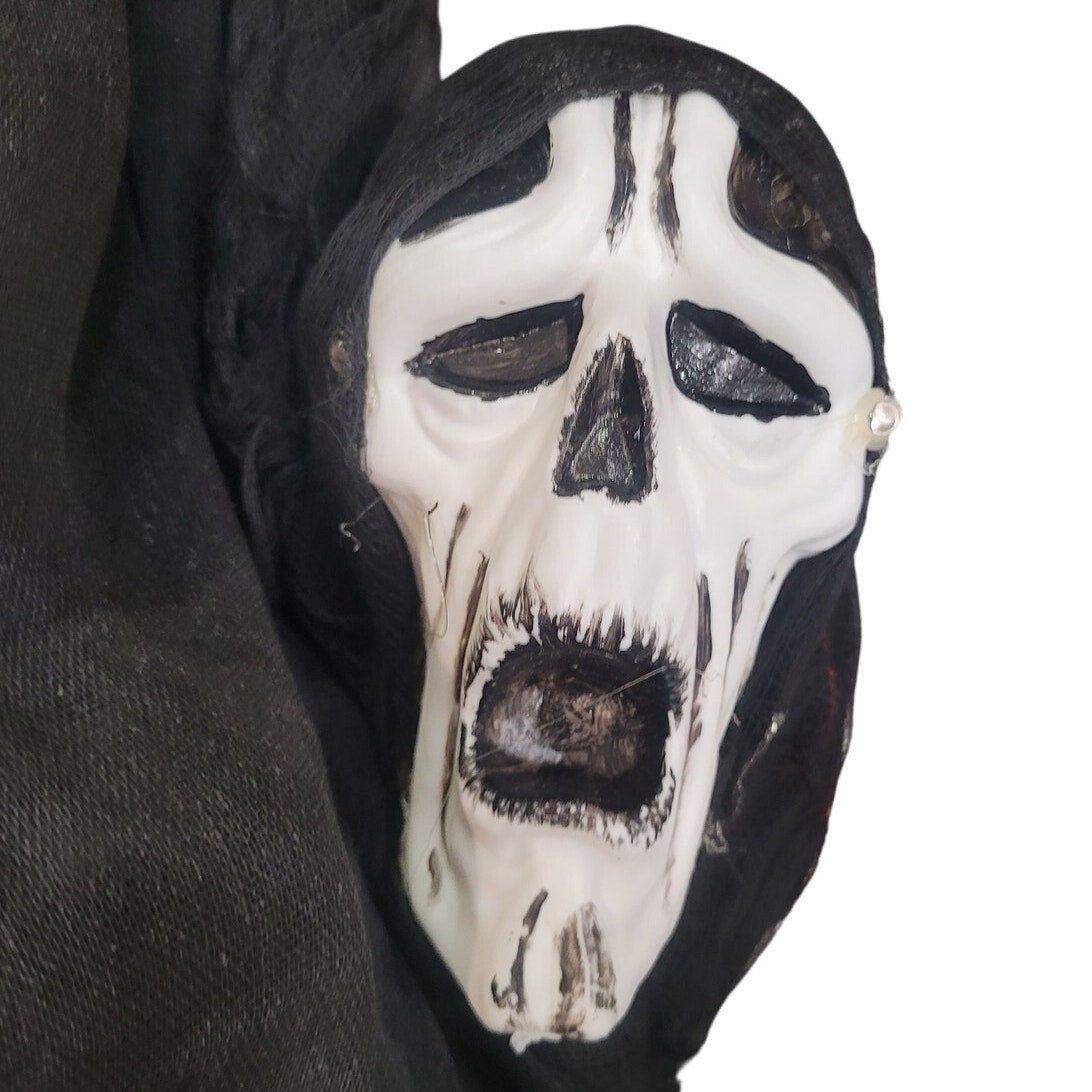 Ghost Scarecrow Outdoor Bird Control w/ Glowing Eyes & Sounds 2-in-1 Yard Decor
