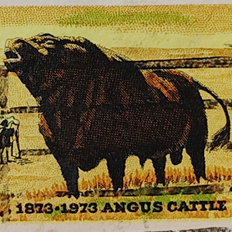 1973 US Postage Stamp Scott #1504 8c Rural America Angus Cattle Used Canceled