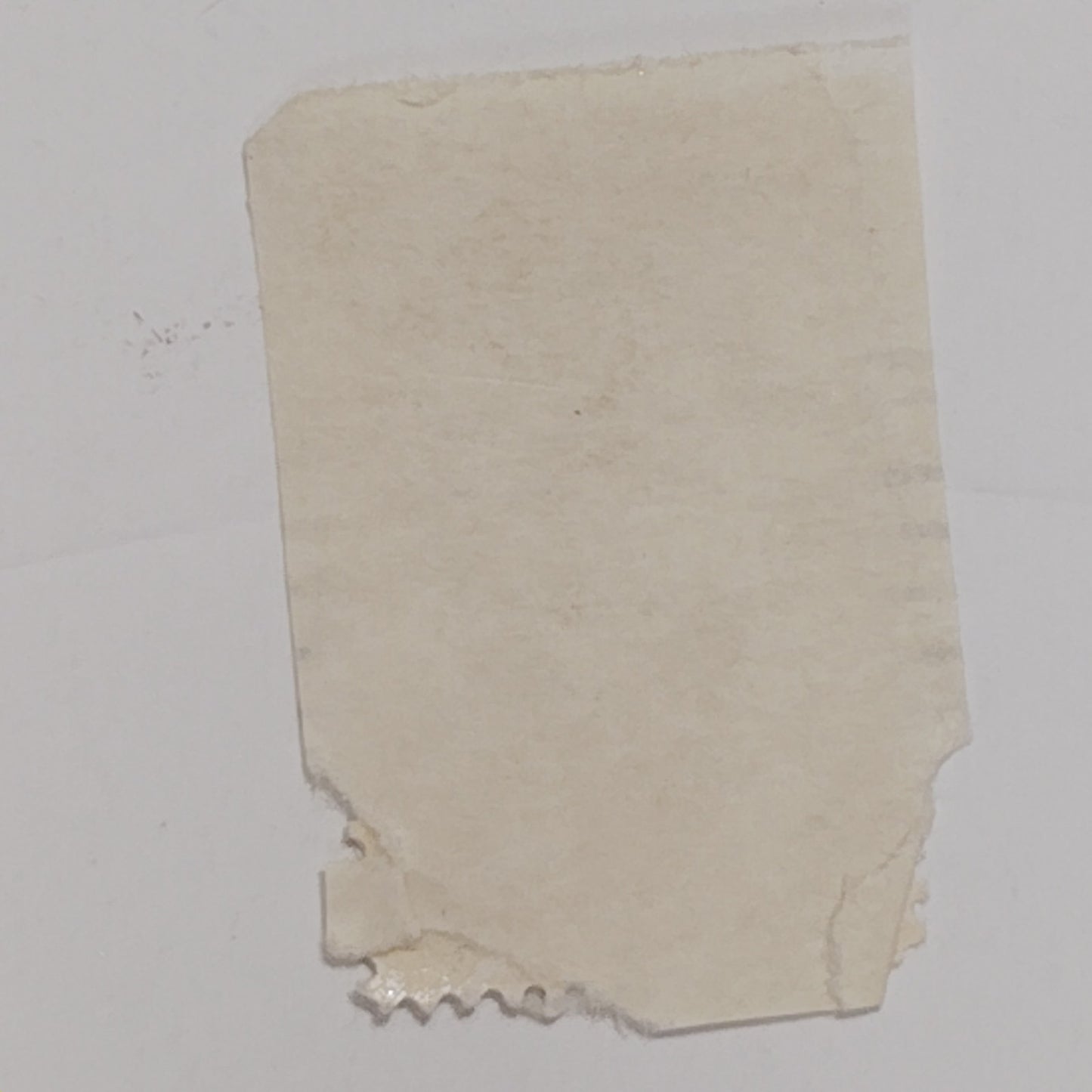 1973 Christmas Tree Stamp – 8¢ – Used – Needlepoint Design – Scott #1508