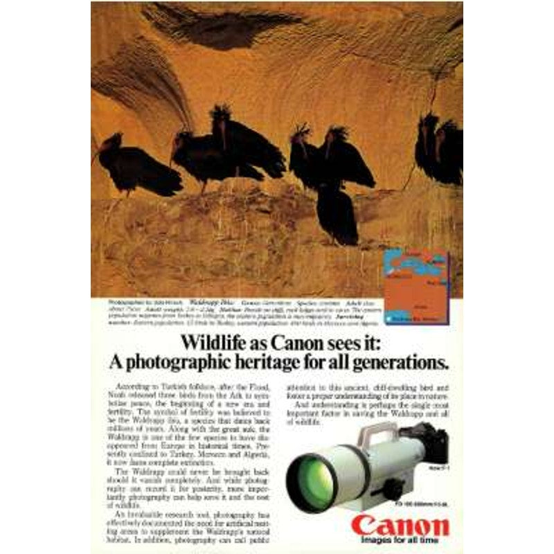 National Geographic January 1984 -Catalonia, The Queen of Textiles, Sunken Realm of Australia, Southeast Alaska, Whales...