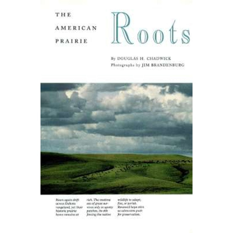 National Geographic October 1993 -Labrador Canada, American Prairie, The Cambrian Period, Afghanistan's Uneasy Peace, Tower of London...
