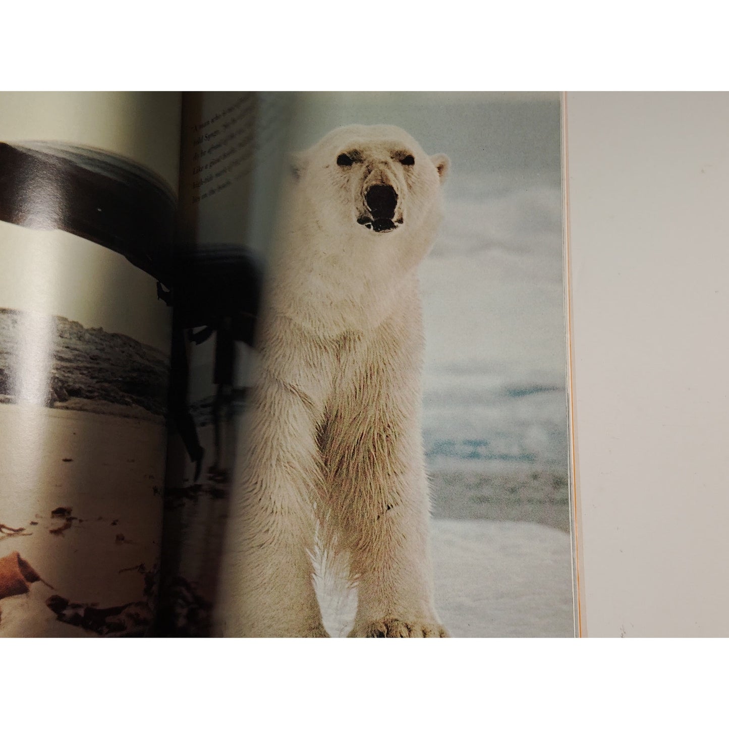 National Geographic Magazine – April 1971, Hungary, Polar Bears, Maui