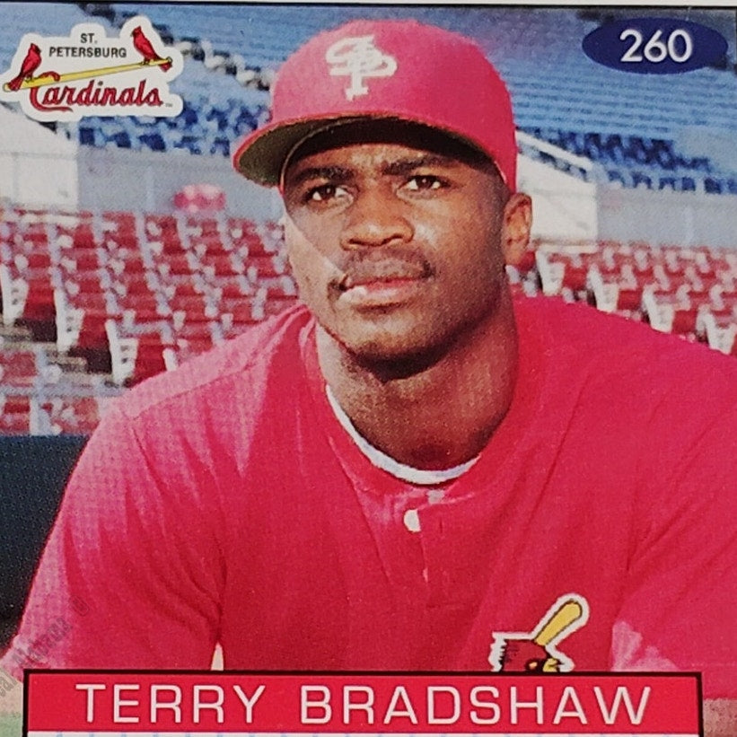 Terry Bradshaw, St Petersburg Cardinals, #260, 93-94 Fleer Excel Minor Leagues