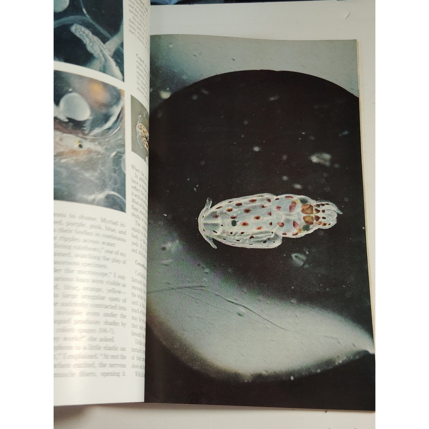 National Geographic Magazine – March 1967 | Siberia, Squids & Guadalajara