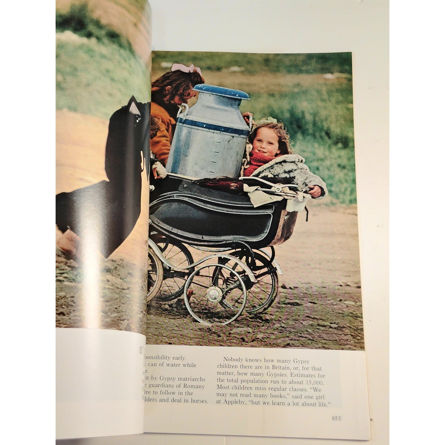 National Geographic Magazine – June 1972, Aphrodisias, Gypsies, Salt Marshes