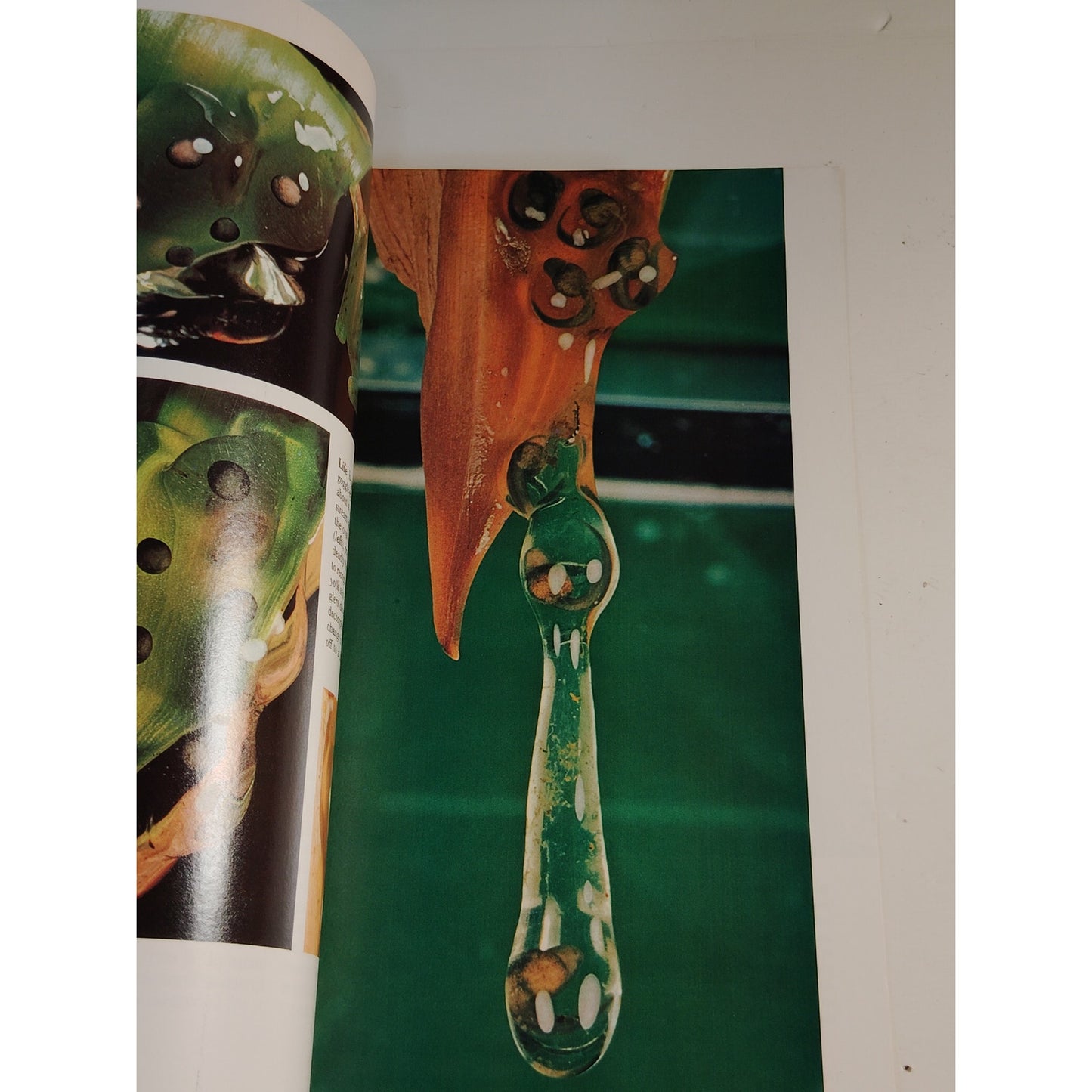 National Geographic Magazine – July 1973, Bangkok, Iceland, Costa Rica, Miami