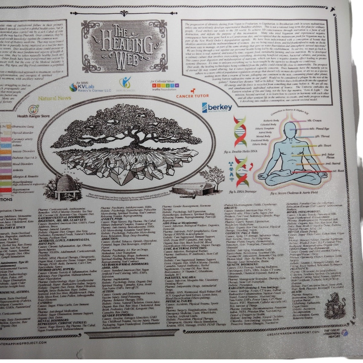 The Healing Web Canvas Print Holistic Health, Alternative Medicine & Wellness, 16x12" Unframed