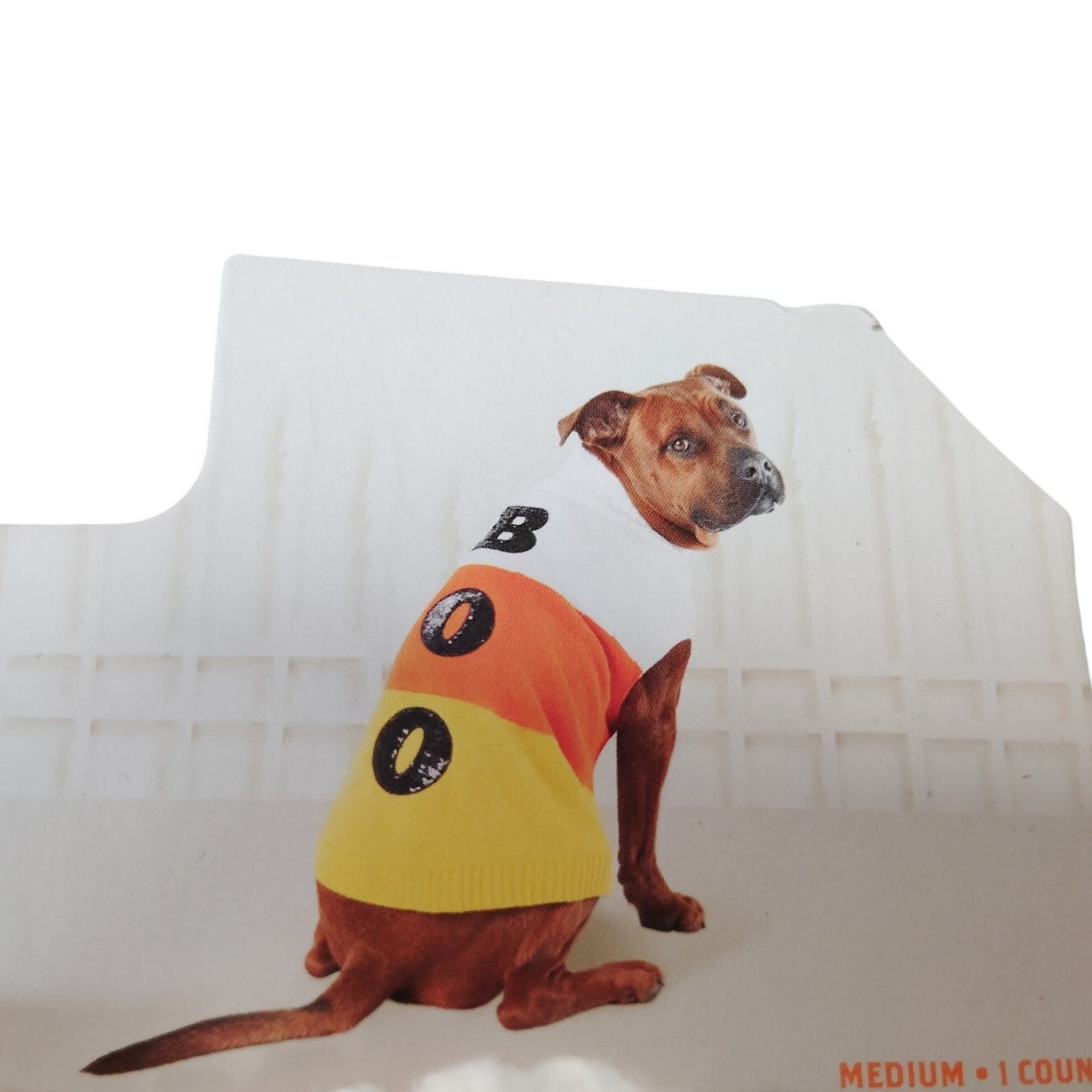 Hyde & EEK! Boutique Halloween Candy Corn Boo Dog Sweater – Medium