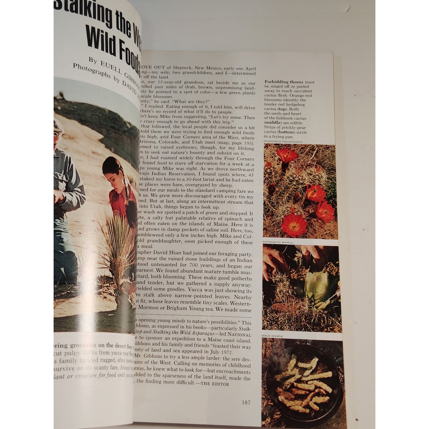 National Geographic Magazine – August 1973, Great Lakes, Arctic Ice, Algeria