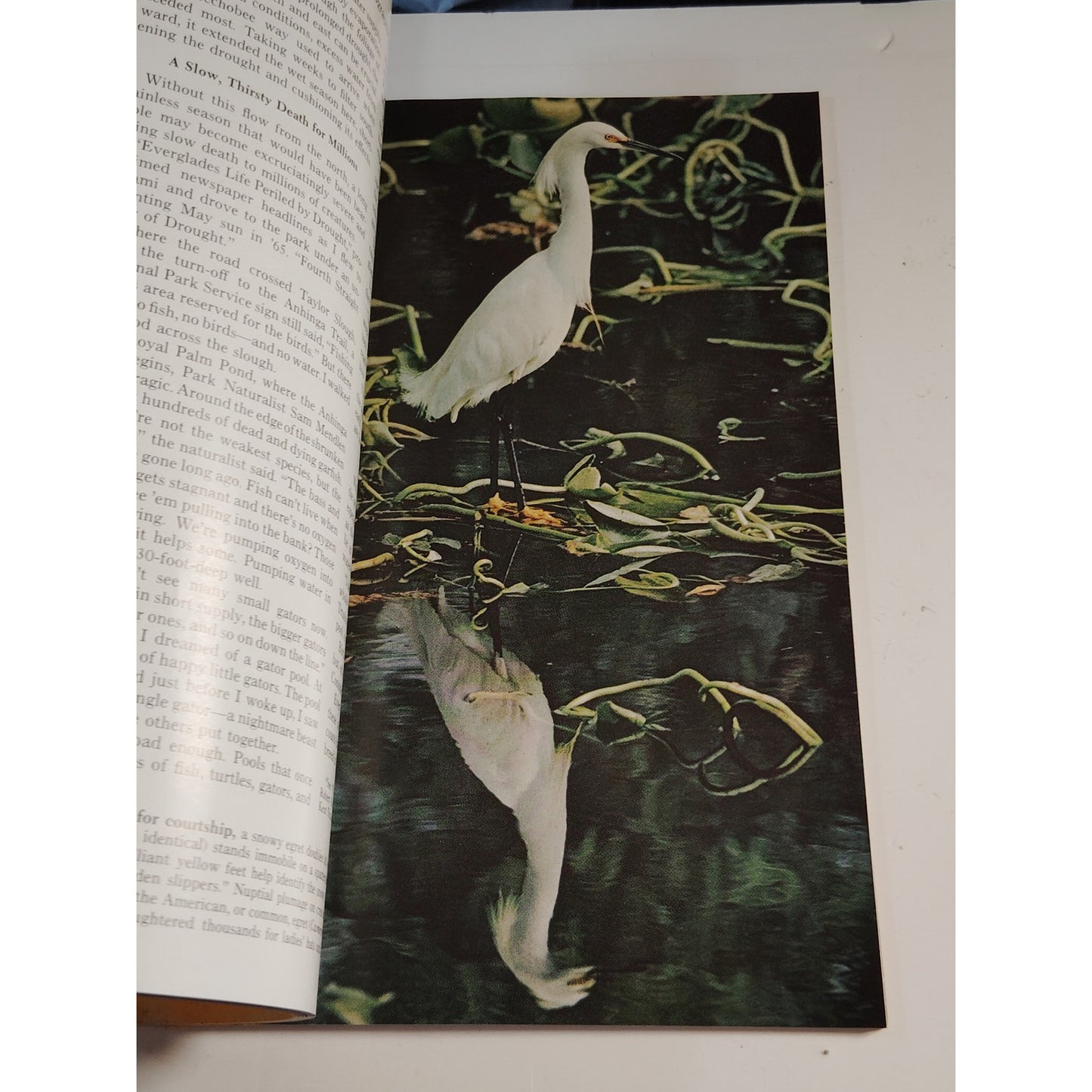 National Geographic Magazine October 1967 | Madagascar, Everglades & Monsoon Sea